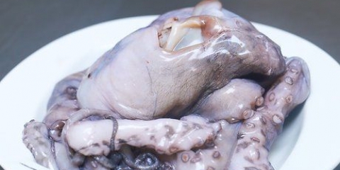 Preparar pulpo