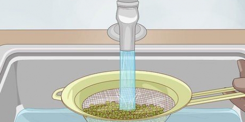 Brotes de soja en crecimiento