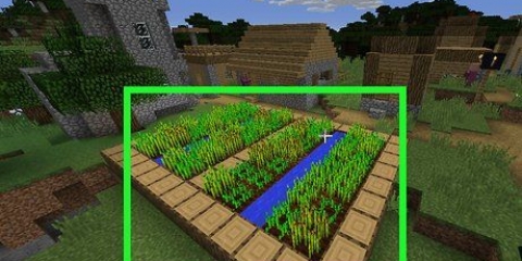 Recolectando zanahorias en minecraft