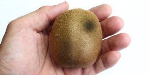 A ver si un kiwi ya no sirve