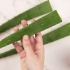 Comer aloe vera