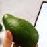 Determinar si un aguacate está maduro