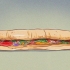 Pide un bocadillo subway