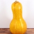 Almacenar calabaza de botella