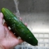 Hacer agua de pepino