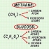 Cálculo de la masa molecular