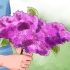 Lilas en crecimiento