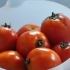 Tomates enlatados